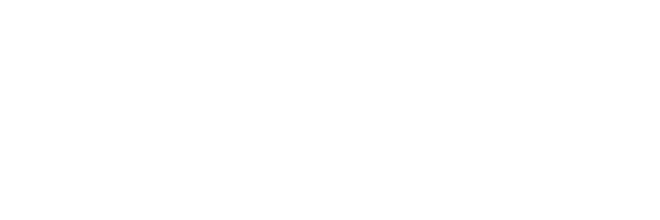 George Street Self Storage Logo in white
